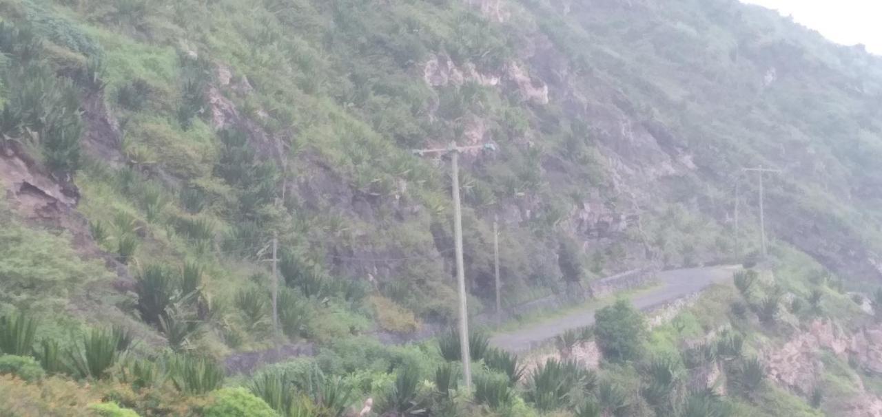 Ciza E Rose Panzió Portela Kültér fotó